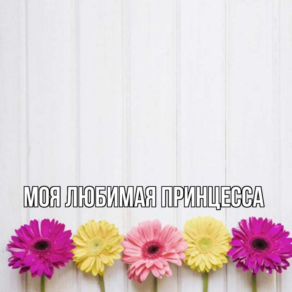 Открытка на каждый день с именем, Моя-Любимая-Принцесса Главная женщинам 1 Прикольная открытка с пожеланием онлайн скачать бесплатно 