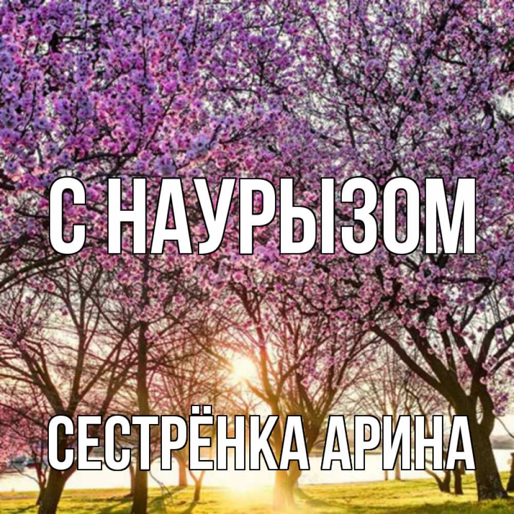 Открытка на каждый день с именем, Сестрёнка-Арина С наурызом праздник весны наурыз Прикольная открытка с пожеланием онлайн скачать бесплатно 