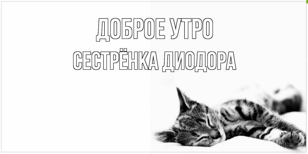 Открытка на каждый день с именем, Сестрёнка-Диодора Доброе утро котуся Прикольная открытка с пожеланием онлайн скачать бесплатно 