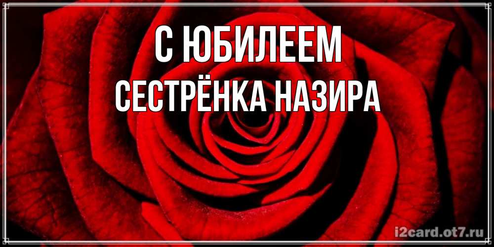 Открытка на каждый день с именем, Сестрёнка-Назира С юбилеем алая роза Прикольная открытка с пожеланием онлайн скачать бесплатно 