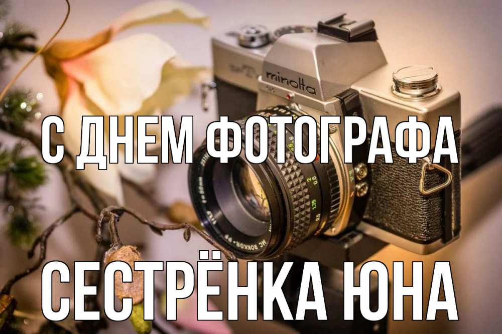 Открытка на каждый день с именем, Сестрёнка-Юна С днем фотографа с днем фотографа 1 Прикольная открытка с пожеланием онлайн скачать бесплатно 