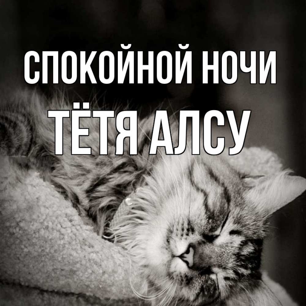 Открытка на каждый день с именем, Тётя-Алсу Спокойной ночи котярик пушистый Прикольная открытка с пожеланием онлайн скачать бесплатно 