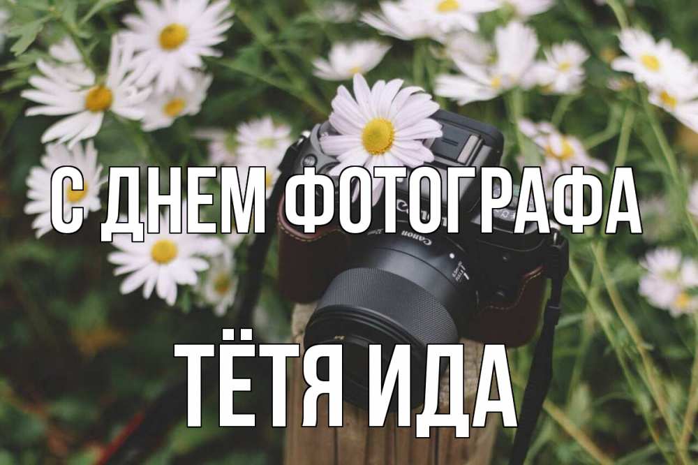 Открытка на каждый день с именем, Тётя-Ида С днем фотографа с днем фотографа Прикольная открытка с пожеланием онлайн скачать бесплатно 
