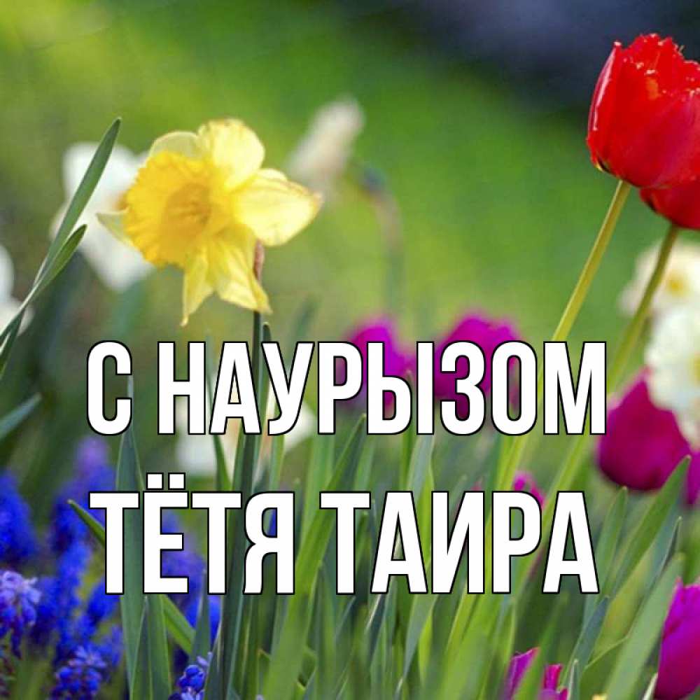Открытка на каждый день с именем, Тётя-Таира С наурызом праздник весны наурыз 3 Прикольная открытка с пожеланием онлайн скачать бесплатно 