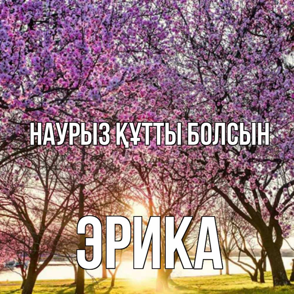 Открытка на каждый день с именем, Эрика Наурыз құтты болсын наурыз Прикольная открытка с пожеланием онлайн скачать бесплатно 