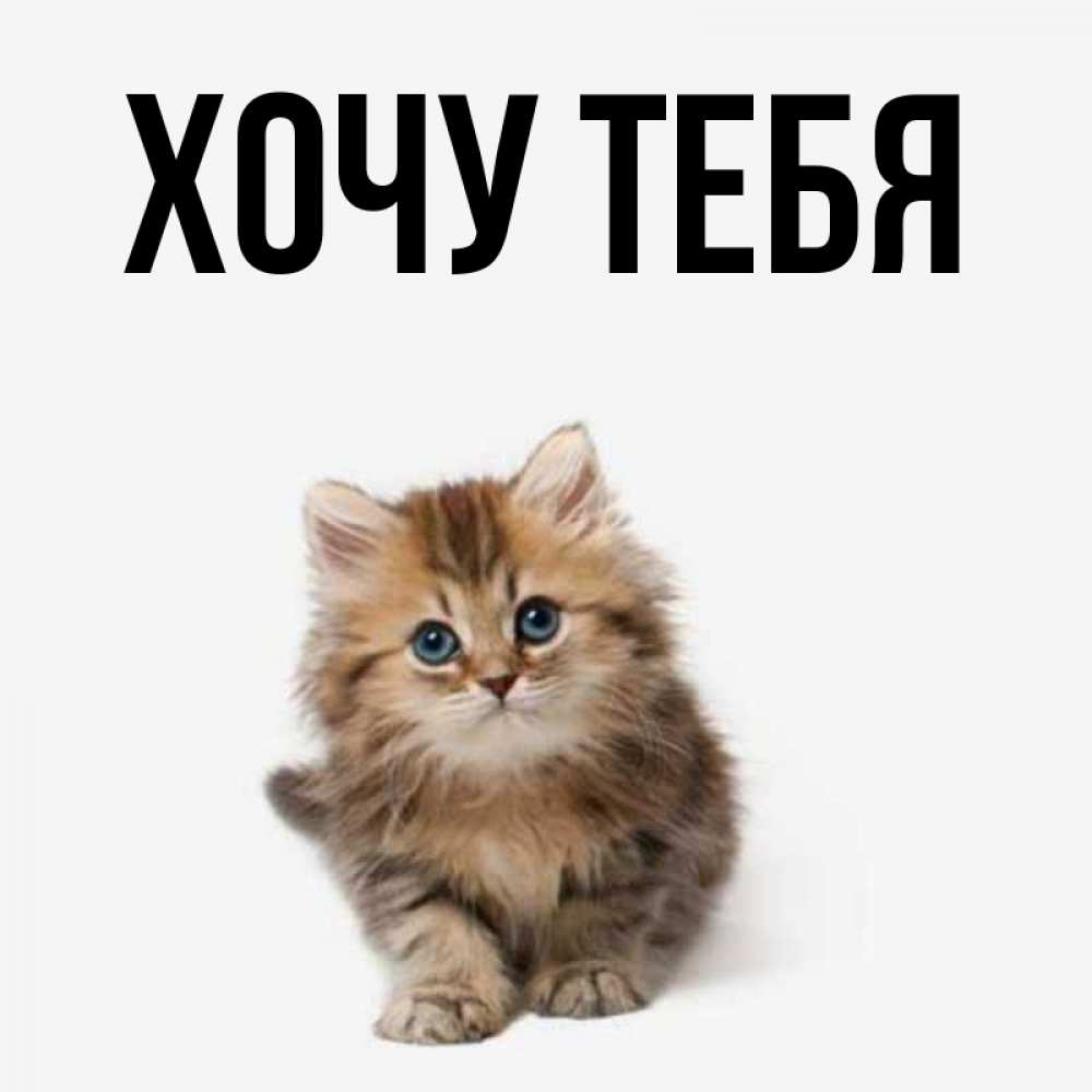 Картинка  с именем , Хочу тебя