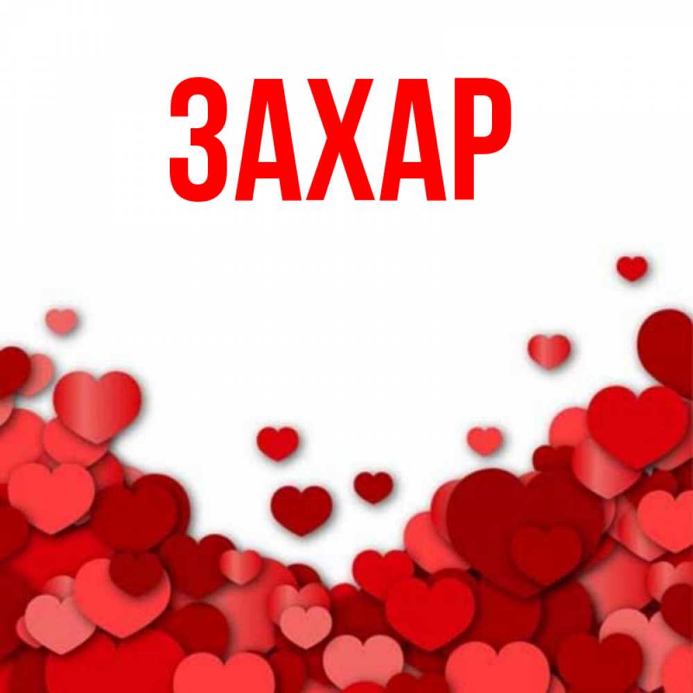 Люблю захара картинки