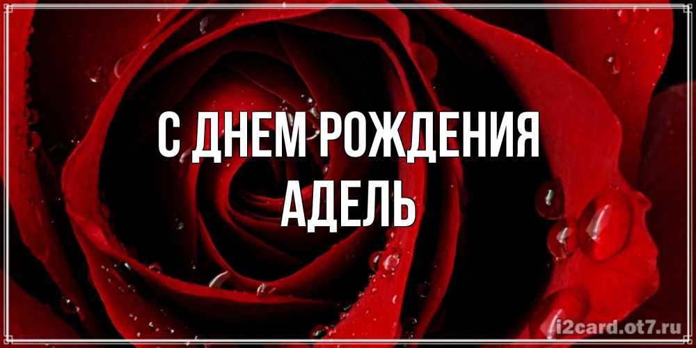 Открытка на каждый день с именем, Адель С днем рождения крупная бордовая роза Прикольная открытка с пожеланием онлайн скачать бесплатно 