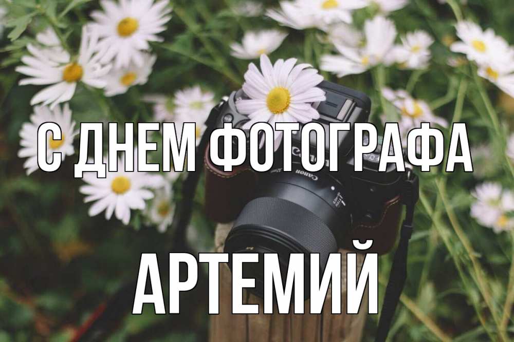 Открытка на каждый день с именем, Артемий С днем фотографа с днем фотографа Прикольная открытка с пожеланием онлайн скачать бесплатно 