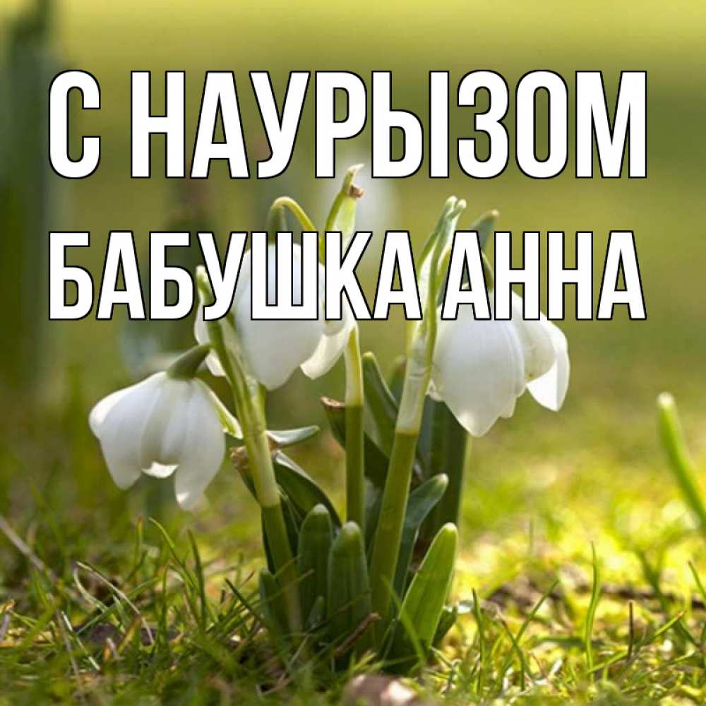 Открытка на каждый день с именем, Бабушка-Анна С наурызом ранние цветы 2 Прикольная открытка с пожеланием онлайн скачать бесплатно 