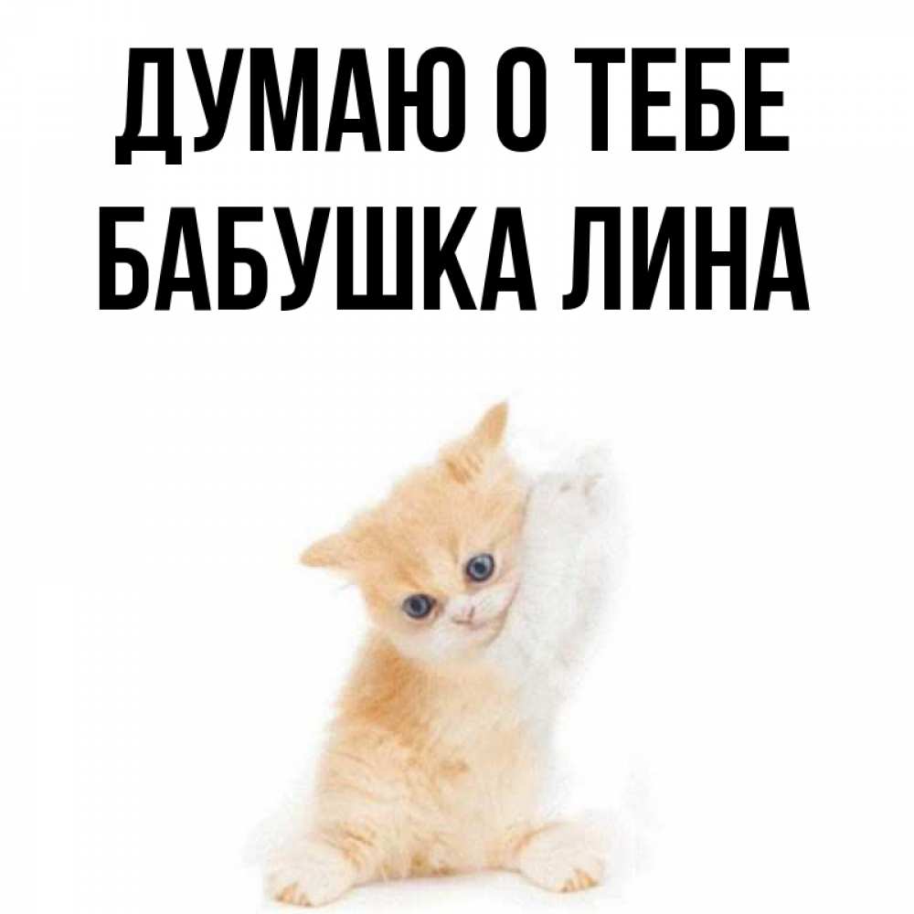Открытка на каждый день с именем, Бабушка-Лина Думаю о тебе зверушки и милота Прикольная открытка с пожеланием онлайн скачать бесплатно 