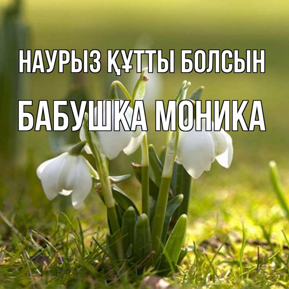 Открытка на каждый день с именем, Бабушка-Моника Наурыз құтты болсын ранние цветы 2 Прикольная открытка с пожеланием онлайн скачать бесплатно 