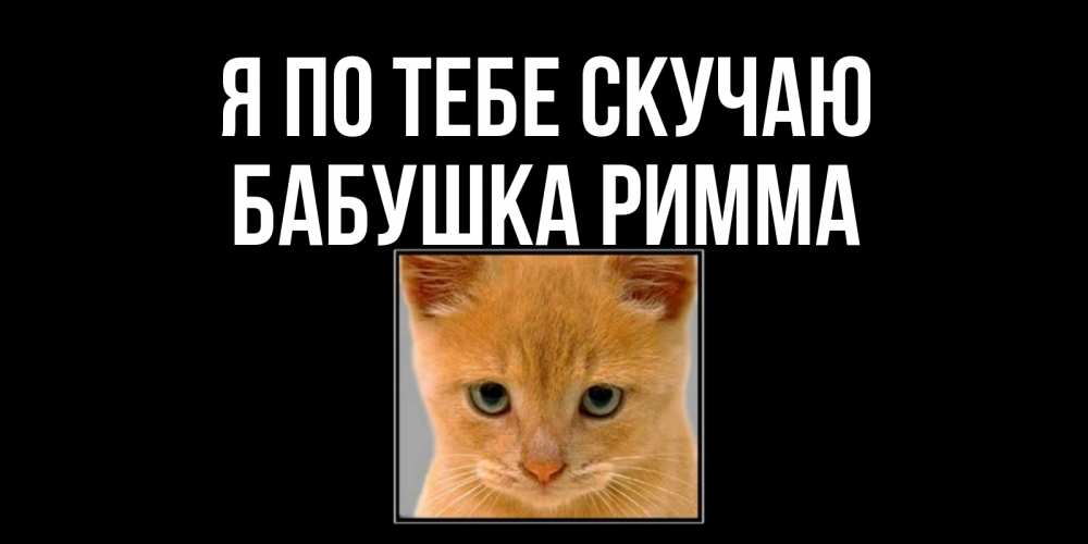 Открытка на каждый день с именем, Бабушка-Римма Я по тебе скучаю открытки рыжий котенок скучает по тебе Прикольная открытка с пожеланием онлайн скачать бесплатно 