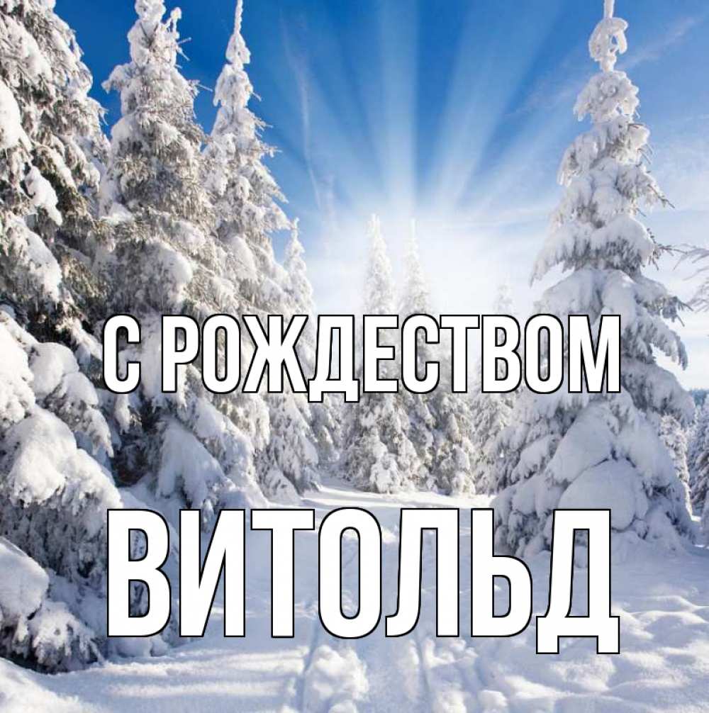 Открытка на каждый день с именем, Витольд С рождеством зима, лес Прикольная открытка с пожеланием онлайн скачать бесплатно 