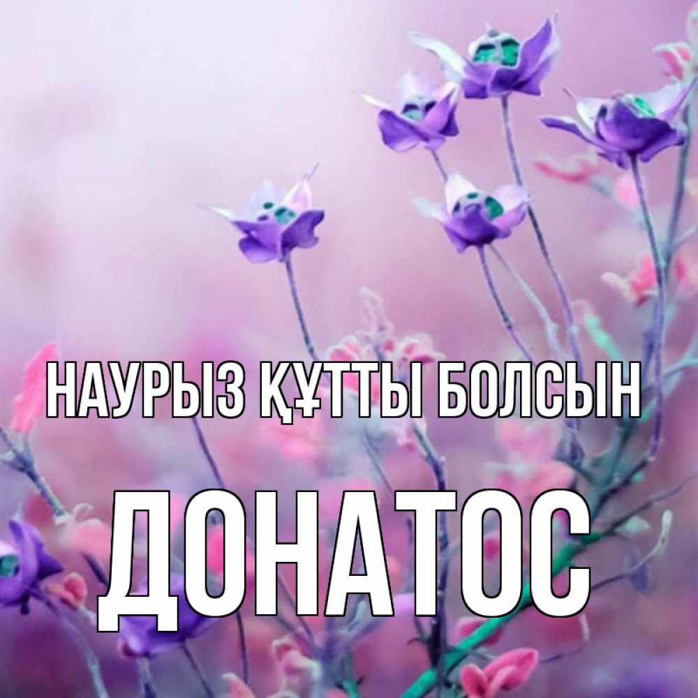 Открытка на каждый день с именем, Донатос Наурыз құтты болсын наурыз  2 Прикольная открытка с пожеланием онлайн скачать бесплатно 