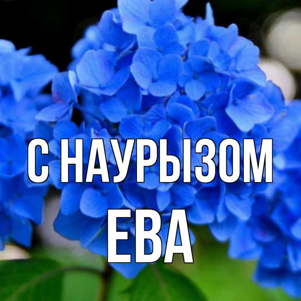Открытка на каждый день с именем, Ева С наурызом синие цветы Прикольная открытка с пожеланием онлайн скачать бесплатно 