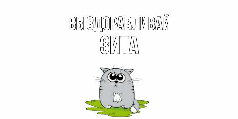 Открытка на каждый день с именем, Зита Выздоравливай кот и открытки про выздоровление Прикольная открытка с пожеланием онлайн скачать бесплатно 
