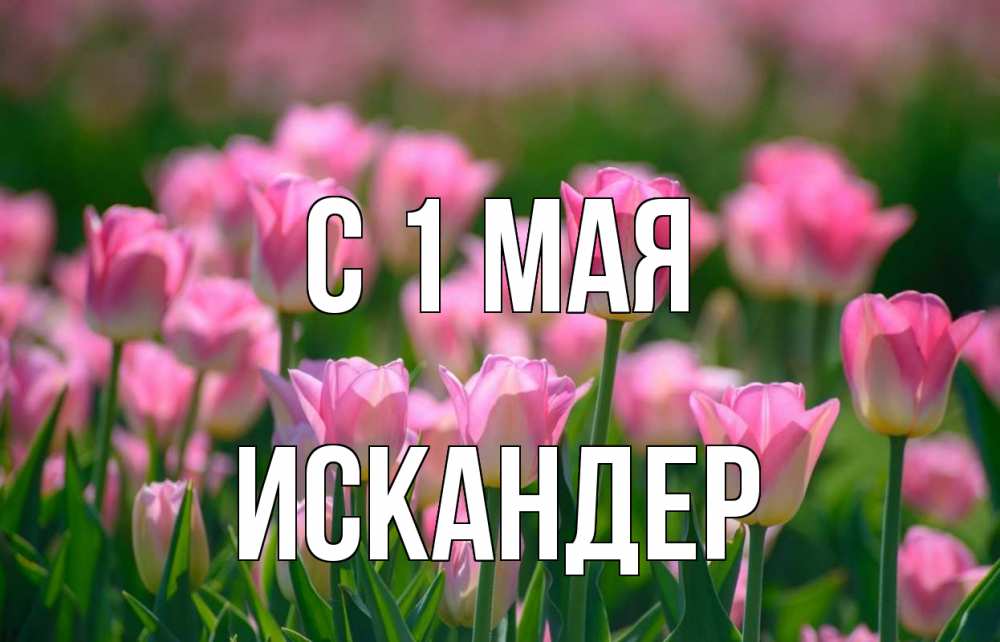 Открытка на каждый день с именем, Искандер С 1 мая С 1 мая Прикольная открытка с пожеланием онлайн скачать бесплатно 