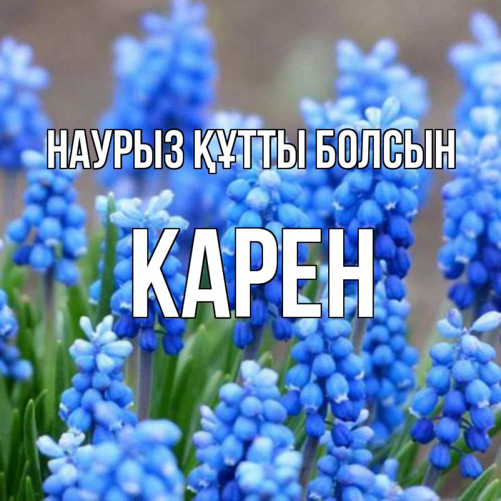 Открытка на каждый день с именем, Карен Наурыз құтты болсын Поздравительная открытка для женщин с цветами на праздничную дату Прикольная открытка с пожеланием онлайн скачать бесплатно 