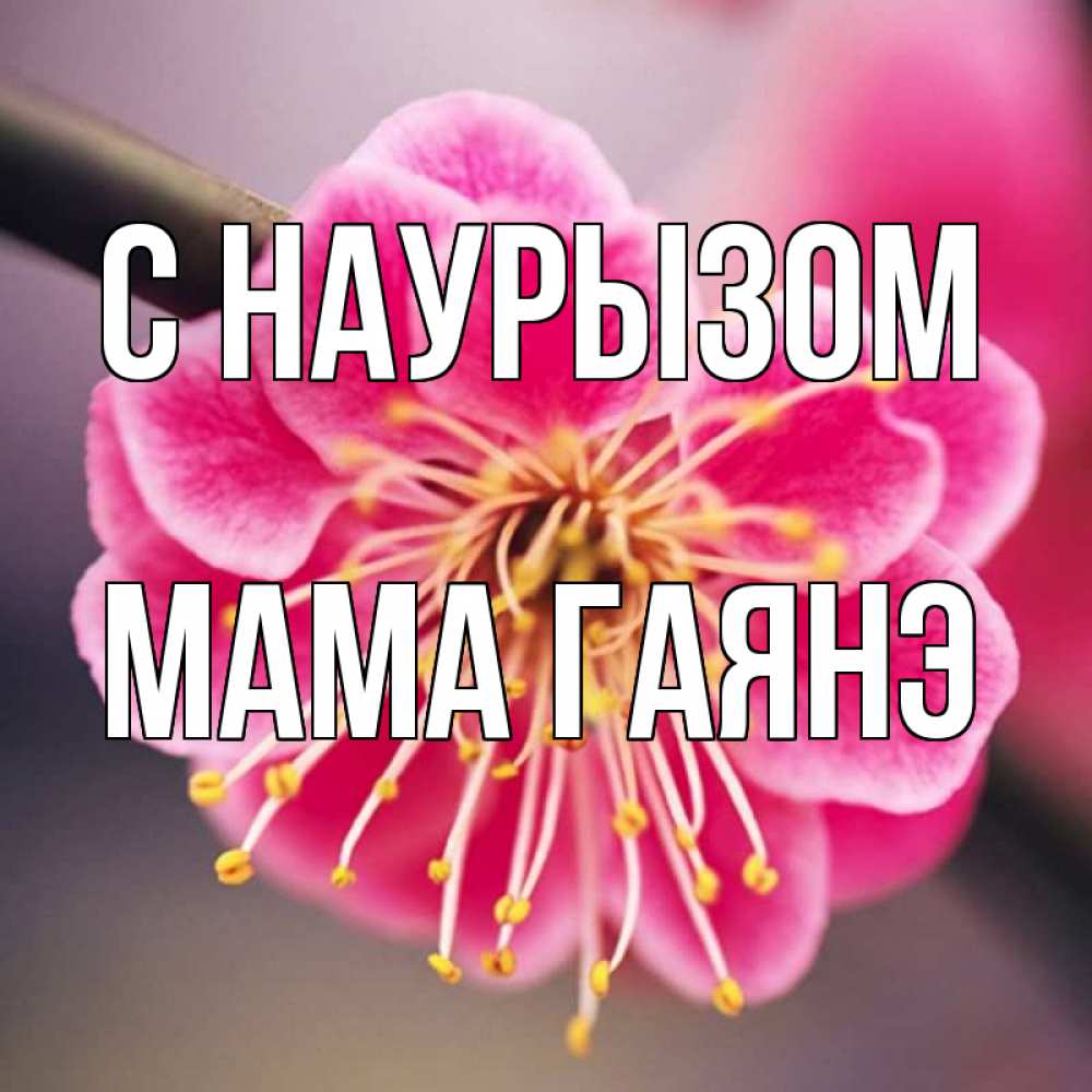 Открытка на каждый день с именем, Мама-Гаянэ С наурызом цветы Прикольная открытка с пожеланием онлайн скачать бесплатно 