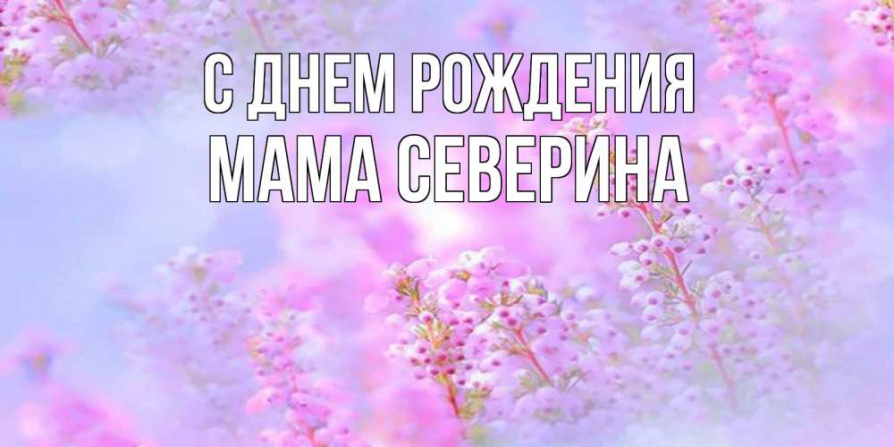 Открытка на каждый день с именем, Мама-Северина С днем рождения красивая открытка с мелкими цветами Прикольная открытка с пожеланием онлайн скачать бесплатно 