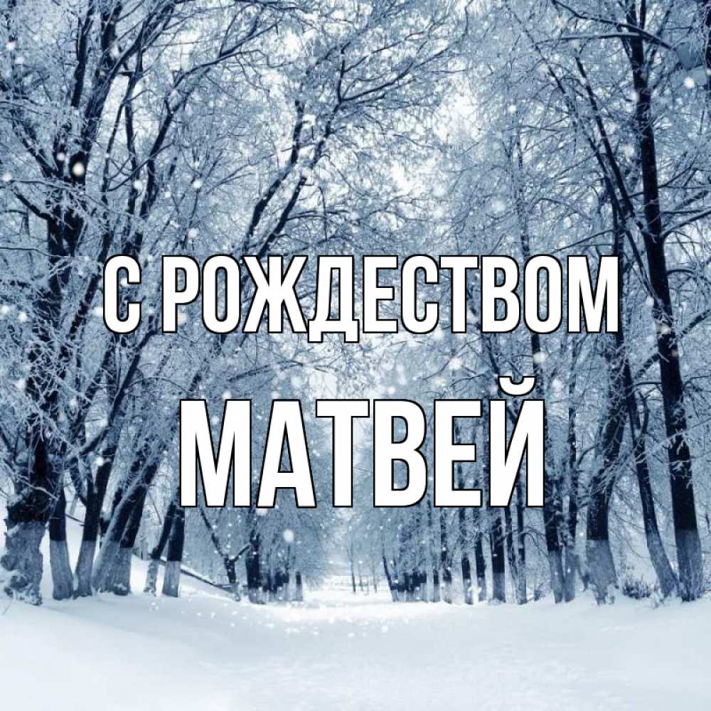 Открытка на каждый день с именем, Матвей С рождеством снег, лес, парк Прикольная открытка с пожеланием онлайн скачать бесплатно 
