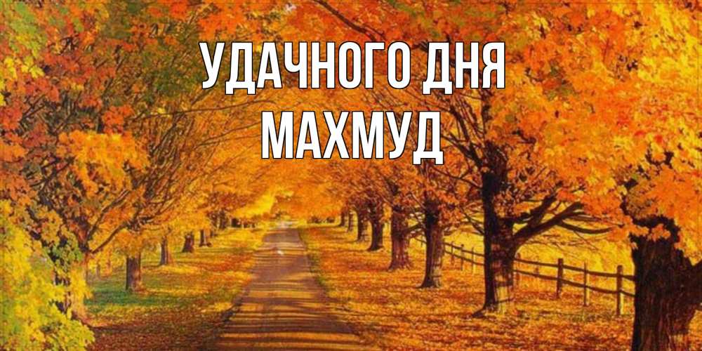 Открытка на каждый день с именем, Махмуд Удачного дня деревья с осенними листьями Прикольная открытка с пожеланием онлайн скачать бесплатно 