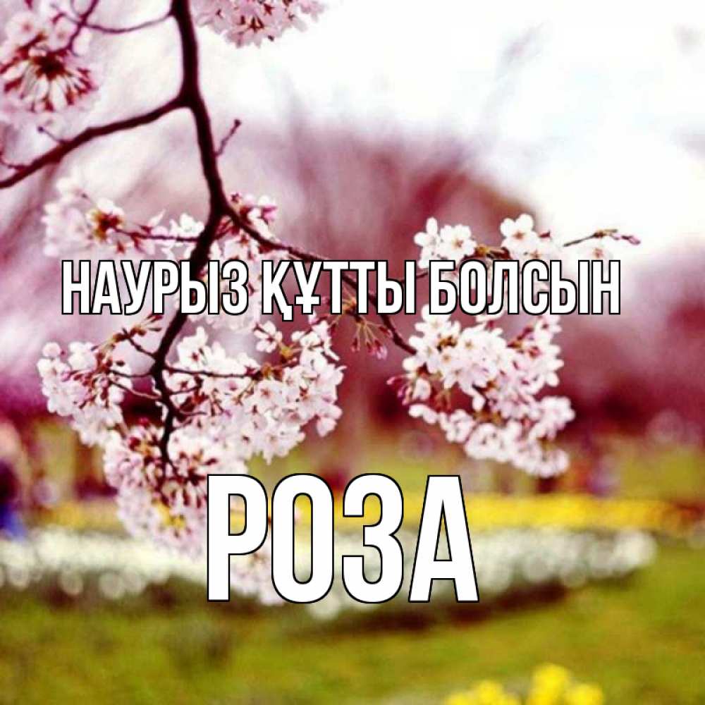 Открытка на каждый день с именем, Роза Наурыз құтты болсын яблоня Прикольная открытка с пожеланием онлайн скачать бесплатно 