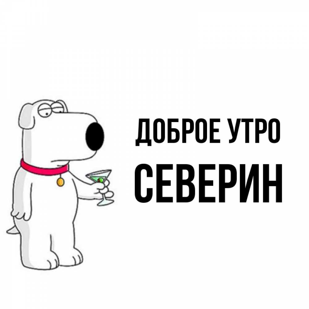 Открытка на каждый день с именем, Северин Доброе утро герои мультфильмов белый пес Прикольная открытка с пожеланием онлайн скачать бесплатно 