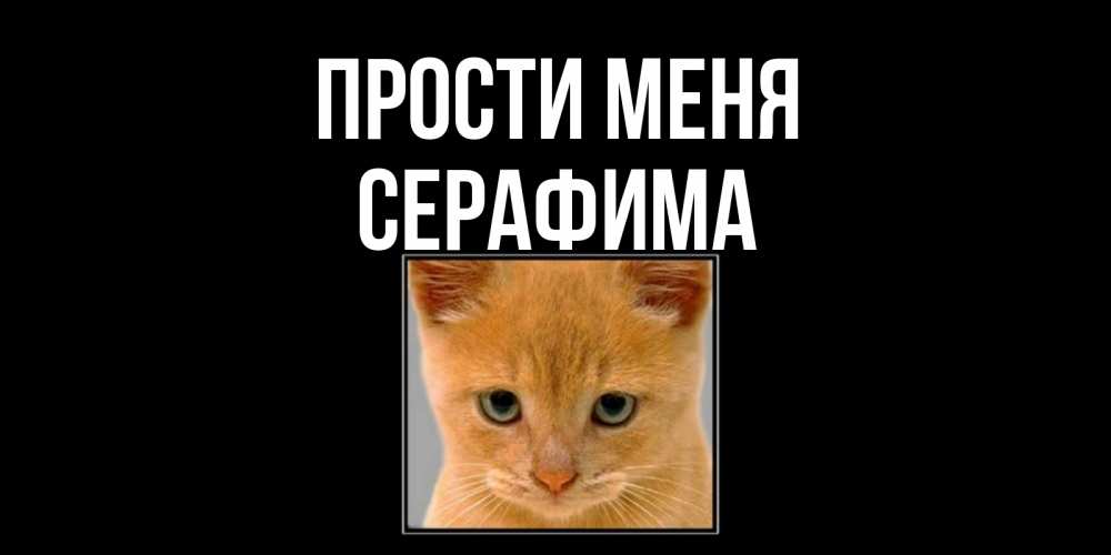 Открытка на каждый день с именем, Серафима Прости меня рыжий грустный кот просит прощения Прикольная открытка с пожеланием онлайн скачать бесплатно 