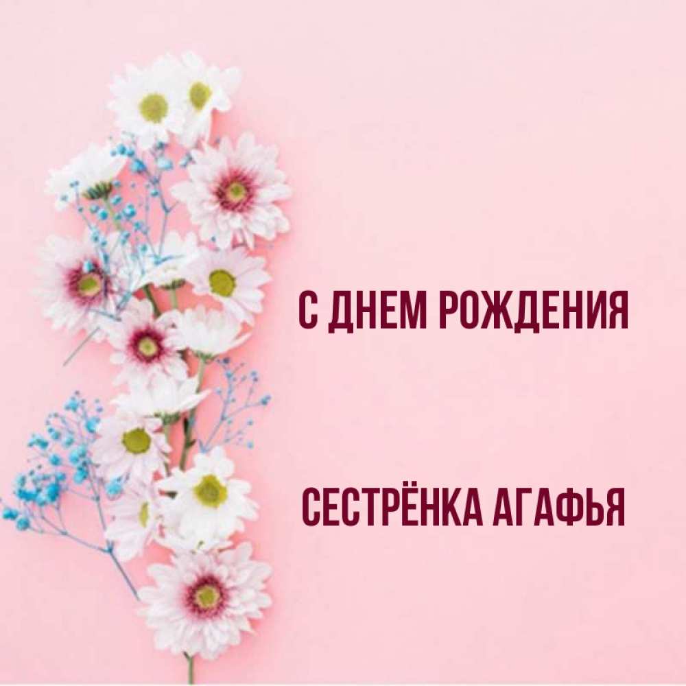 Открытка на каждый день с именем, Сестрёнка-Агафья С днем рождения Родная моя с днем рождения тебя картинка с цветами белыми и голубыми Прикольная открытка с пожеланием онлайн скачать бесплатно 