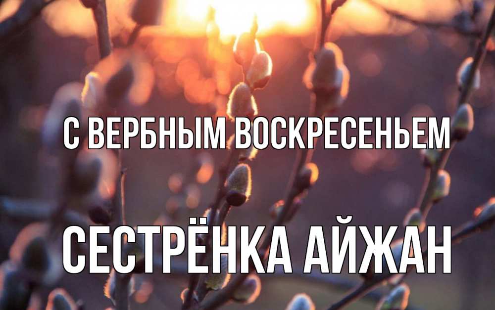Открытка на каждый день с именем, Сестрёнка-Айжан С вербным воскресеньем верба Прикольная открытка с пожеланием онлайн скачать бесплатно 