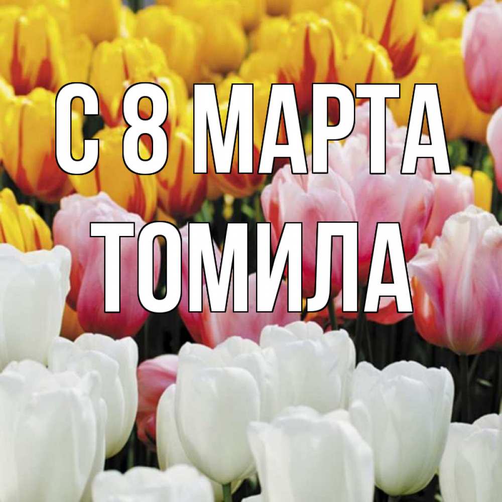 Открытка на каждый день с именем, Томила С 8 марта разноцветные цветы Прикольная открытка с пожеланием онлайн скачать бесплатно 