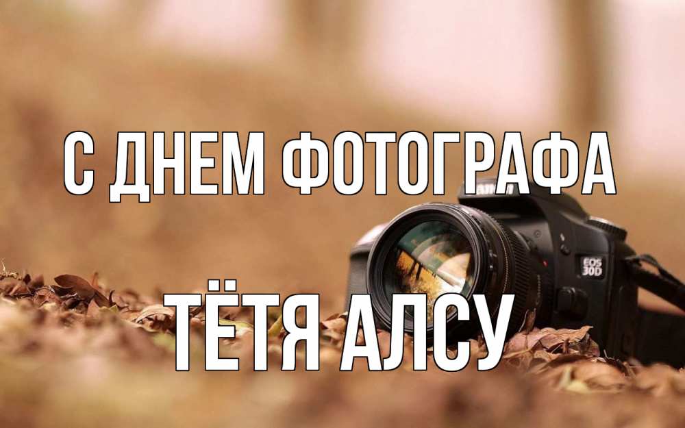 Открытка на каждый день с именем, Тётя-Алсу С днем фотографа с днем фотографа Прикольная открытка с пожеланием онлайн скачать бесплатно 