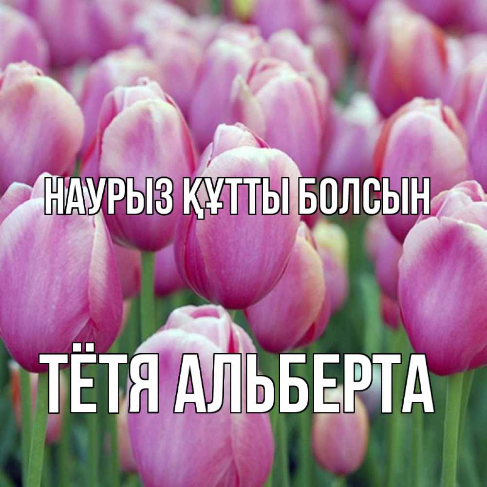 Открытка на каждый день с именем, Тётя-Альберта Наурыз құтты болсын на наурыз  день 3 Прикольная открытка с пожеланием онлайн скачать бесплатно 