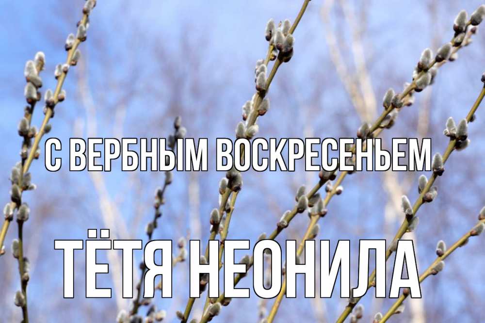 Открытка на каждый день с именем, Тётя-Неонила С вербным воскресеньем верба Прикольная открытка с пожеланием онлайн скачать бесплатно 