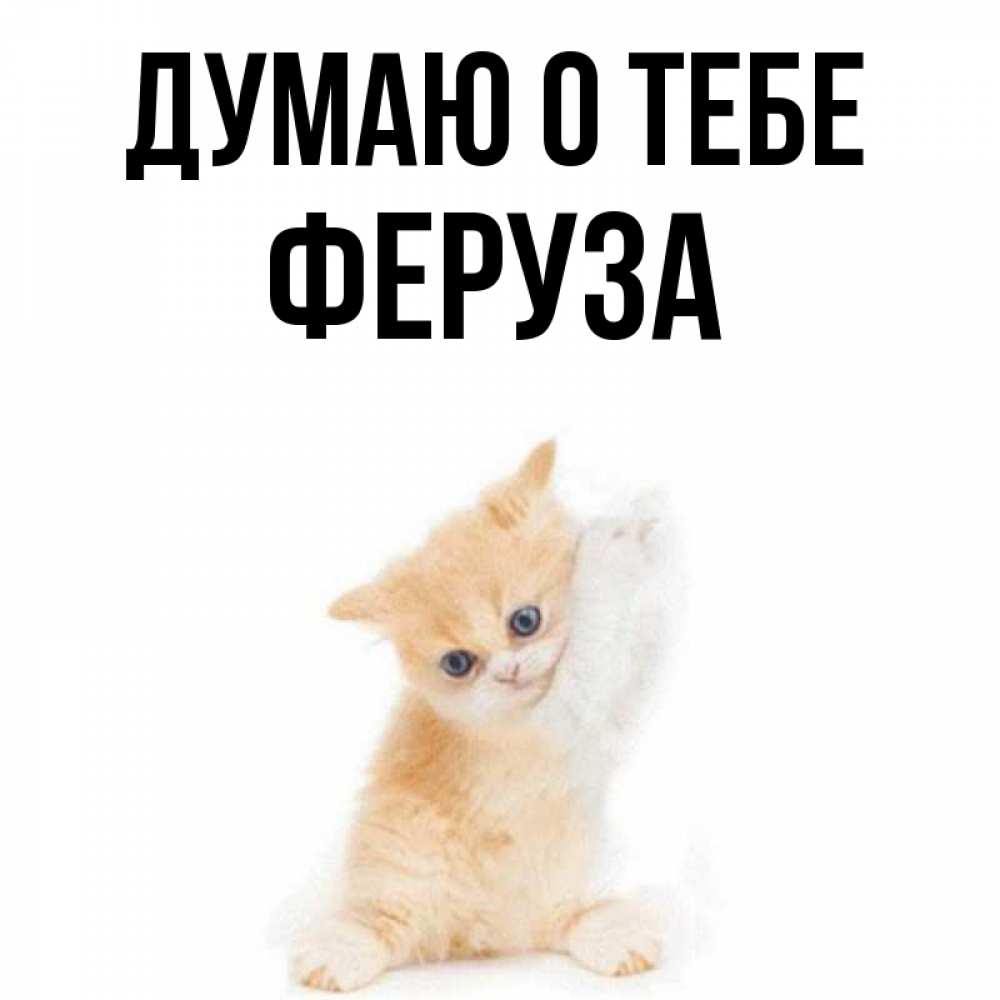 Открытка на каждый день с именем, Феруза Думаю о тебе зверушки и милота Прикольная открытка с пожеланием онлайн скачать бесплатно 