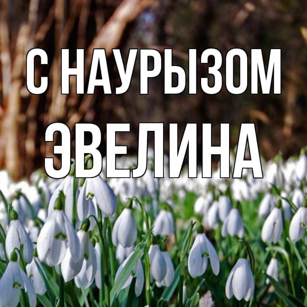 Открытка на каждый день с именем, Эвелина С наурызом с подснежниками 1 Прикольная открытка с пожеланием онлайн скачать бесплатно 