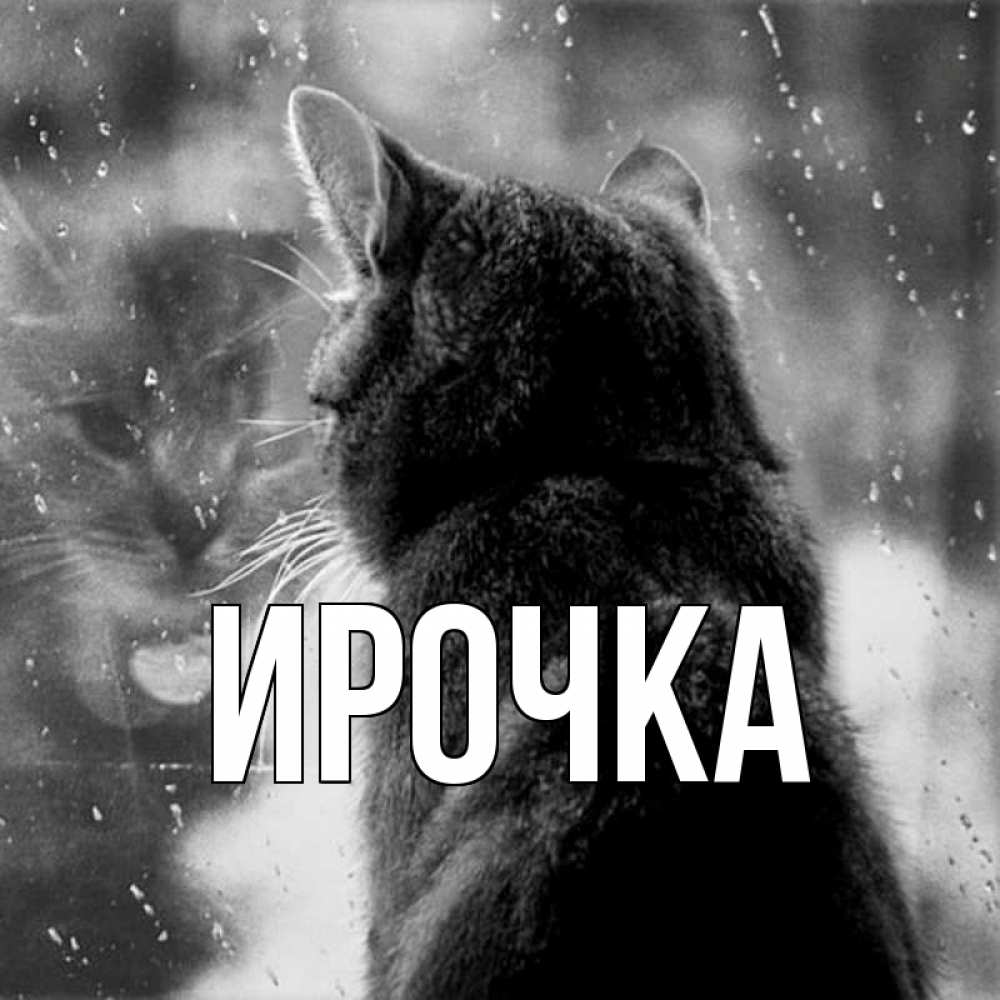 Картинка  с именем , ирочка