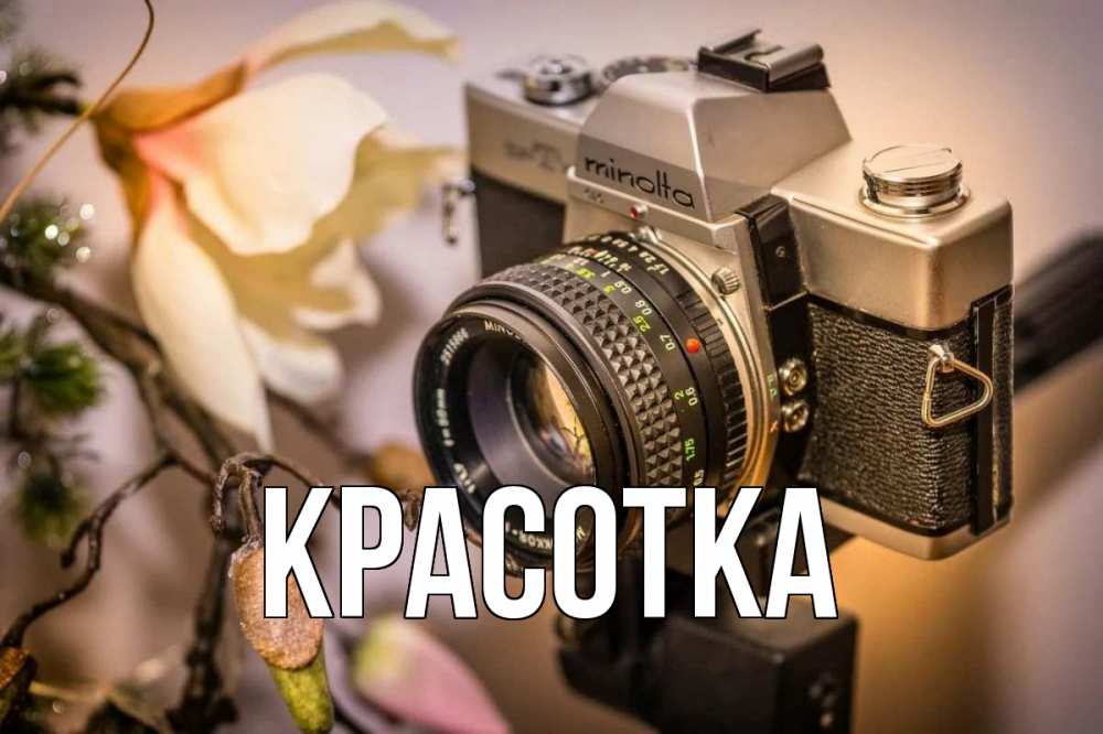 Открытка на каждый день с именем, красотка Главная с днем фотографа 1 Прикольная открытка с пожеланием онлайн скачать бесплатно 