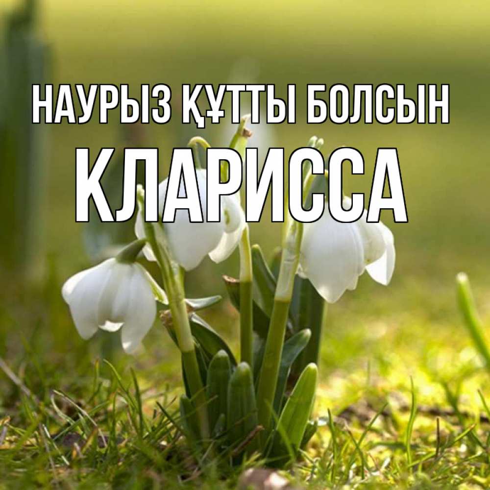 Открытка на каждый день с именем, Кларисса Наурыз құтты болсын ранние цветы 2 Прикольная открытка с пожеланием онлайн скачать бесплатно 