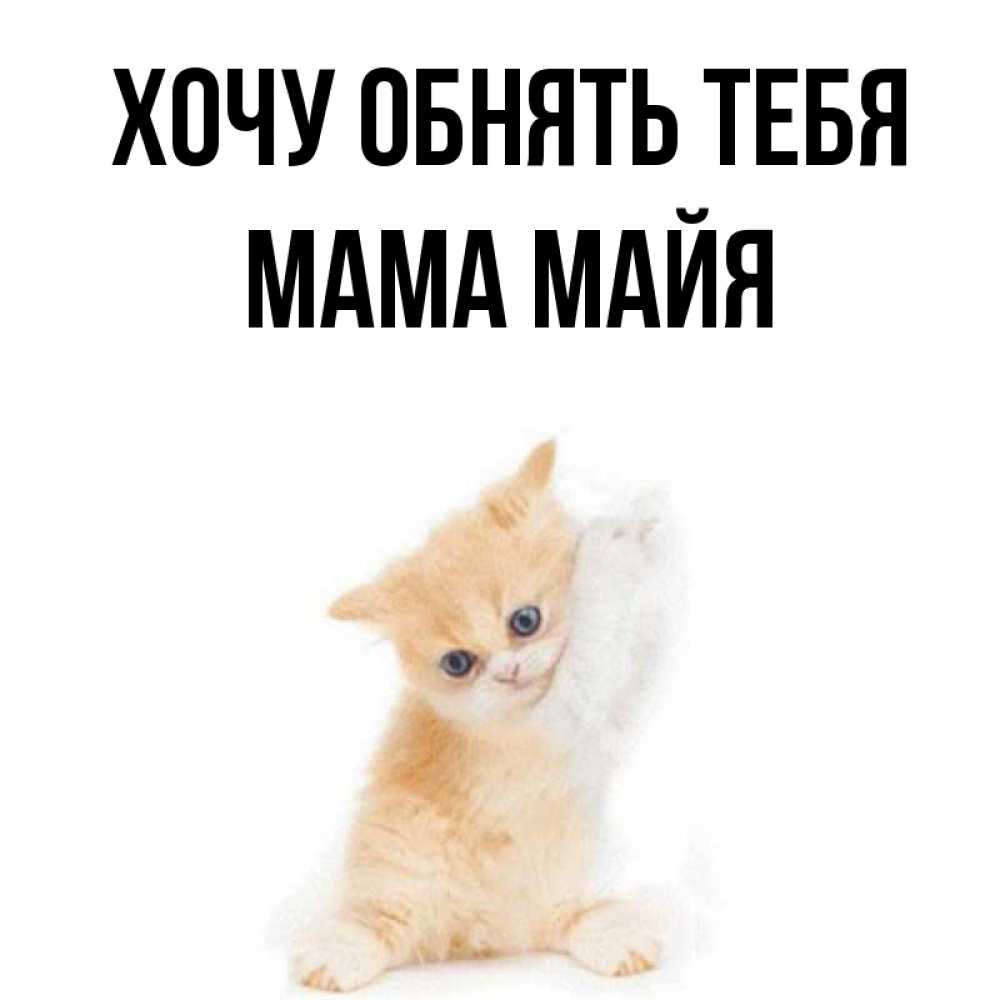 Хочу май