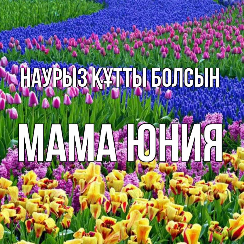 Открытка на каждый день с именем, Мама-Юния Наурыз құтты болсын цветы Прикольная открытка с пожеланием онлайн скачать бесплатно 