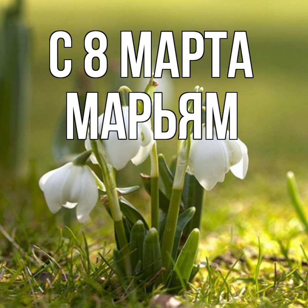 Открытка на каждый день с именем, Марьям С 8 МАРТА ранние цветы 2 Прикольная открытка с пожеланием онлайн скачать бесплатно 