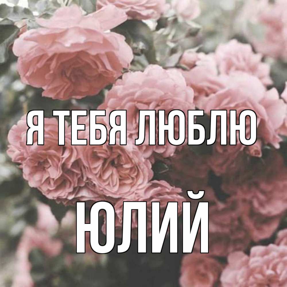 Открытка на каждый день с именем, Юлий Я тебя люблю розы 3 Прикольная открытка с пожеланием онлайн скачать бесплатно 
