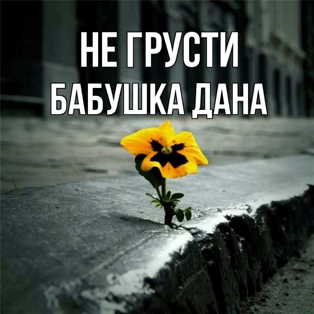Открытка на каждый день с именем, Бабушка-Дана Не грусти не сдавайся Прикольная открытка с пожеланием онлайн скачать бесплатно 