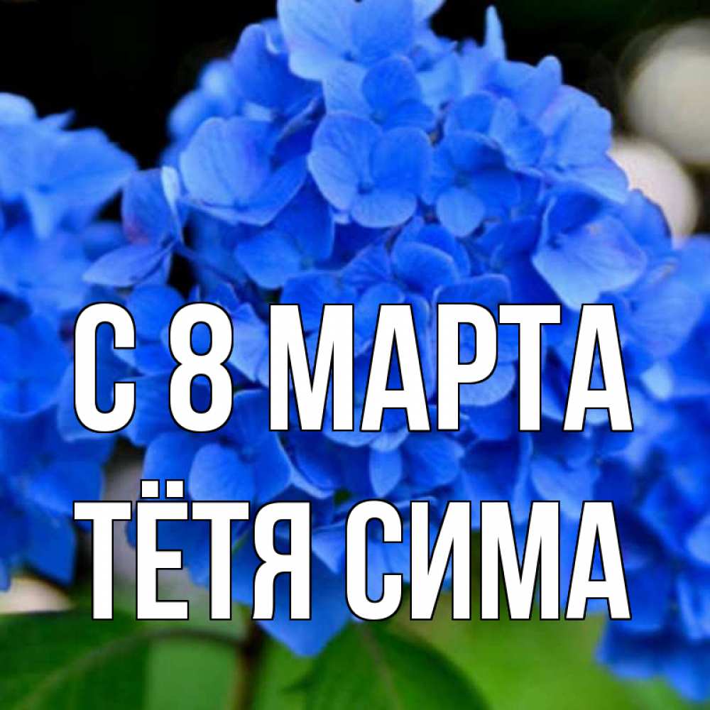 Открытка на каждый день с именем, Тётя-Сима С 8 марта синие цветы Прикольная открытка с пожеланием онлайн скачать бесплатно 