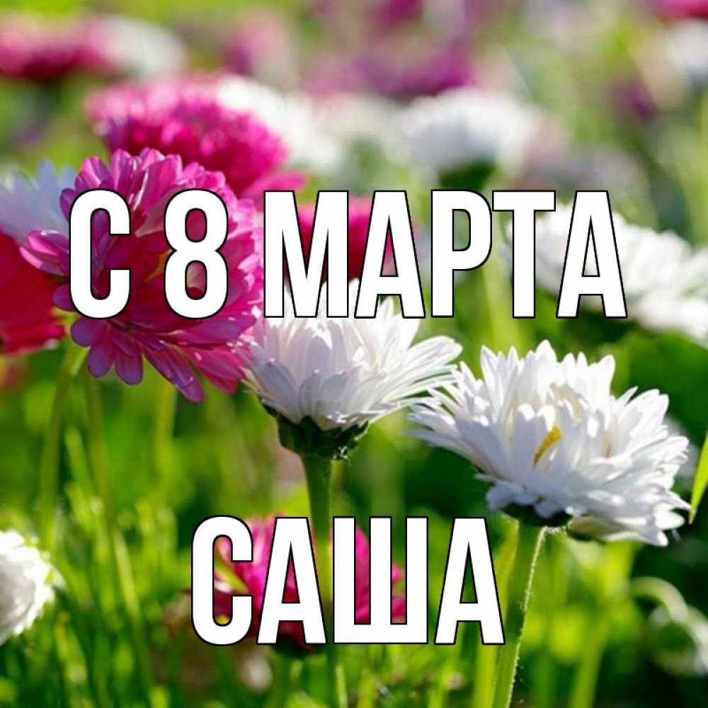Имя лине