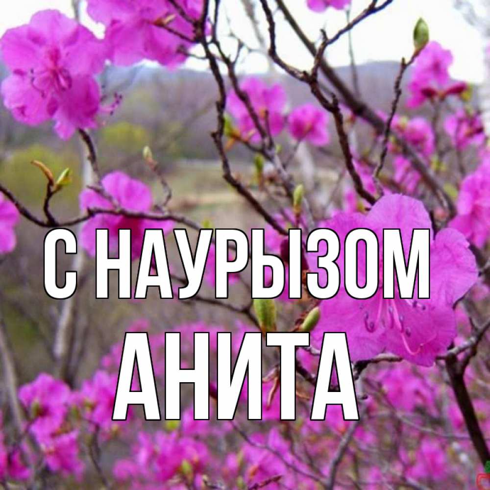 Открытка на каждый день с именем, Анита С наурызом праздник весны наурыз Прикольная открытка с пожеланием онлайн скачать бесплатно 