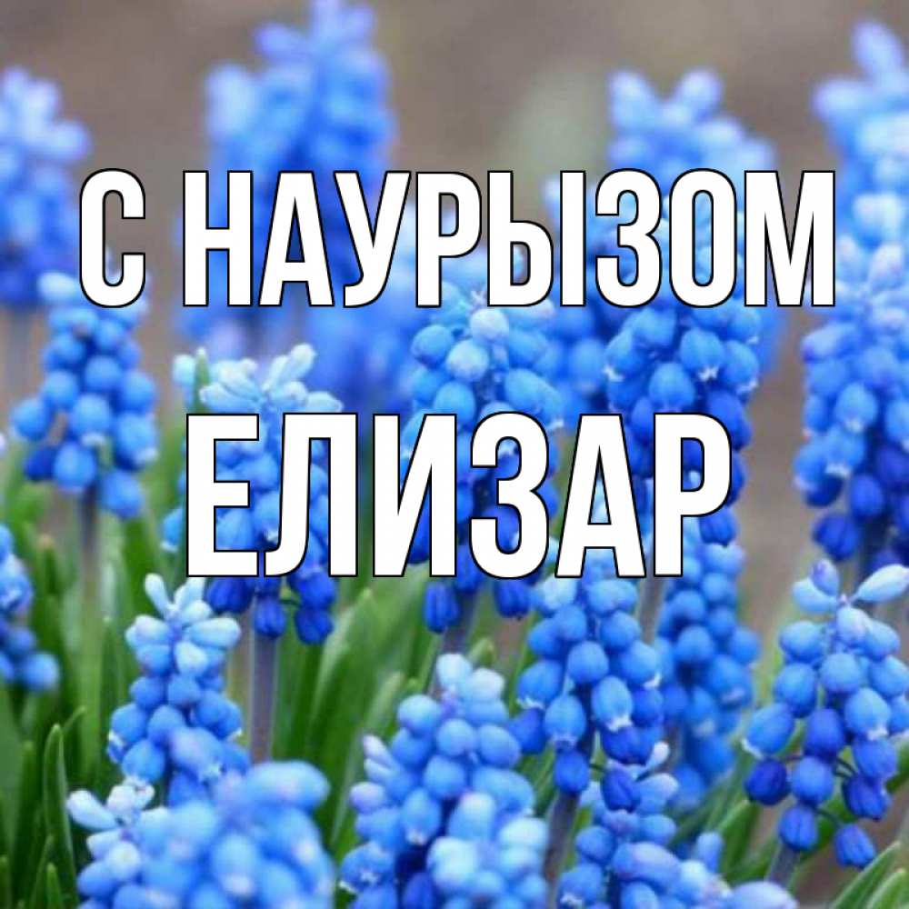 Открытка на каждый день с именем, Елизар С наурызом Поздравительная открытка для женщин с цветами на праздничную дату Прикольная открытка с пожеланием онлайн скачать бесплатно 